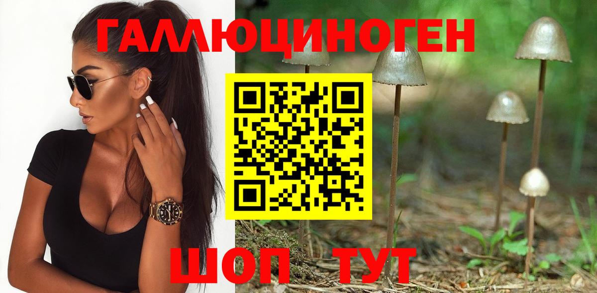 Галлюциногенные грибы Magic Shrooms  Вход с VPN  Дубна 